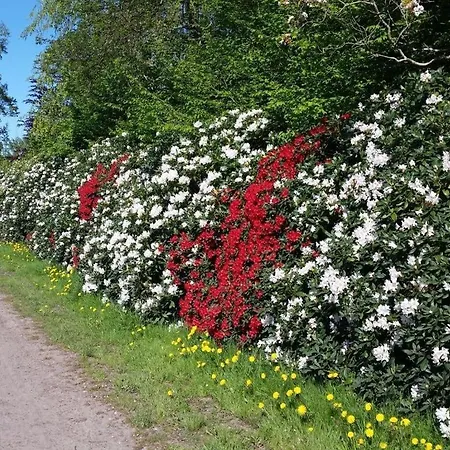 Morning Sun Comfortable 펜션