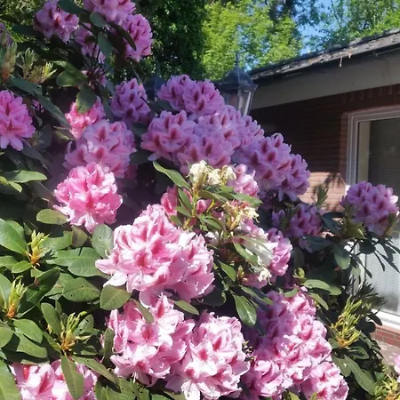 Morning Sun Comfortable Westerstede