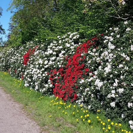 Morning Sun Comfortable Hébergement de vacances Westerstede